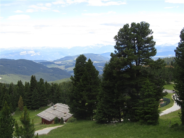 Vallata sopra Pampeago